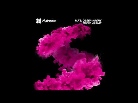 M.F.S: Observatory, Lazy Ants - Disturb