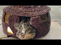 Match Stick Experiment Vs Quail Fry Quailfry Matchstick Beautycraft 2021modelexperiments