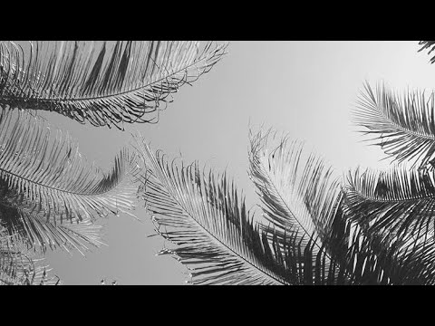 Widow with nothing / Cover (Samuel and Daniel)