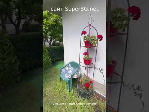 Видео тур