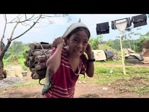 The Life Story of Tony and Jorjais's Battery🎬