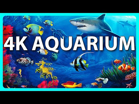 The Best 4K Aquarium for Relaxation 🐠 Relaxing Oceanscapes - Sleep Meditation 4K UHD Screensaver