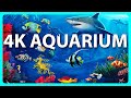 The Best 4K Aquarium for Relaxation 🐠 Sleep Relax Meditation Music - 2 hours - 4K UHD Screensaver