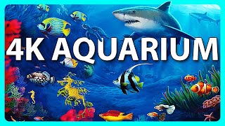 The Best 4K Aquarium for Relaxation 🐠 Sleep Relax Meditation Music - 2 hours - 4K UHD Screensaver