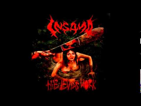 Insan0 - Say you love satan