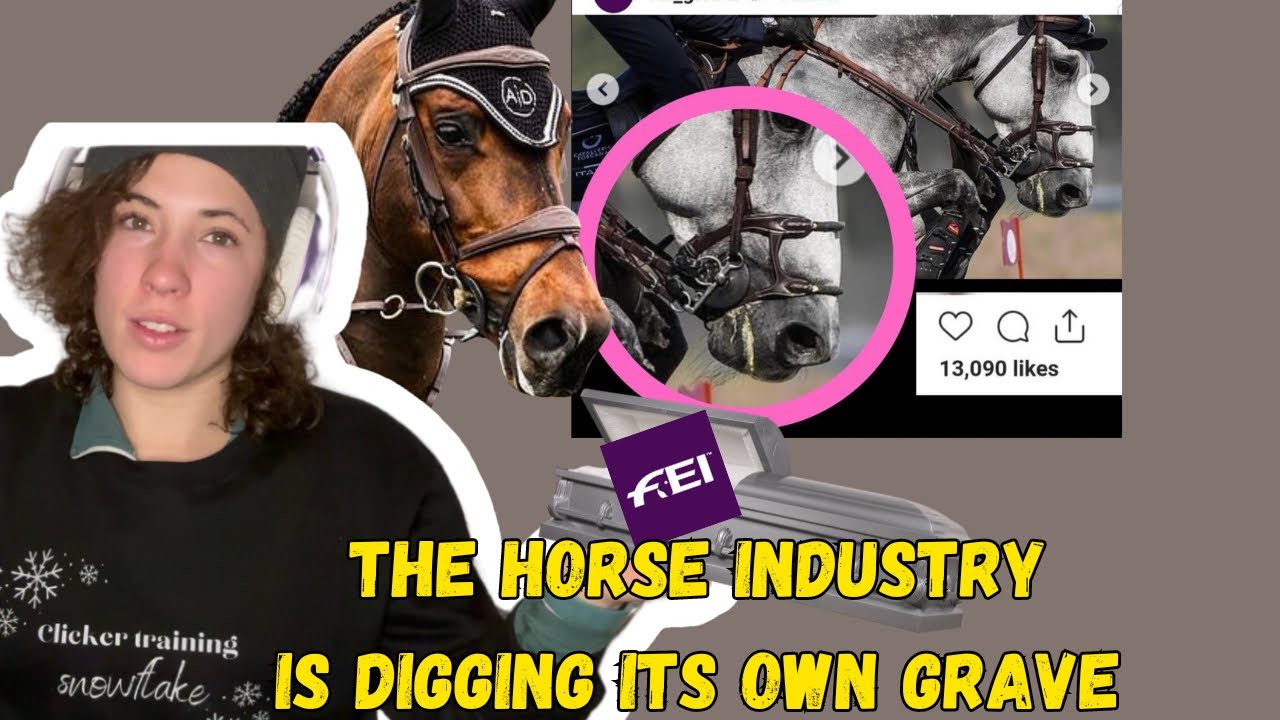 The Horse Sport Industry Is Going to Cancel Itself | Censorship About Welfare Concerns