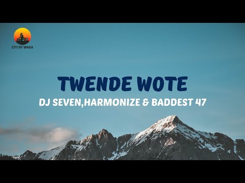 Dj Seven Worldwide, Harmonize & Baddest47 - Twende Wote (Official Video Lyrics)
