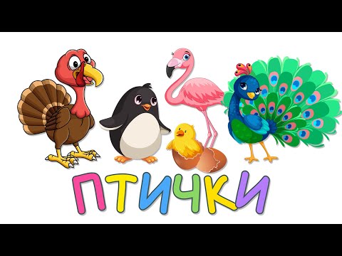 ПТИЧКИ - Развивающие мультики для детей малышей про птиц - аист, курица, сова