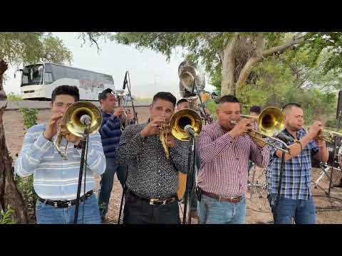 Banda Real Divina - Al son de Vamoshay (En Vivo)