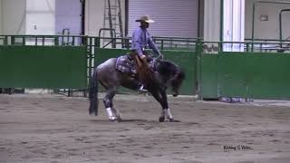 Video 1