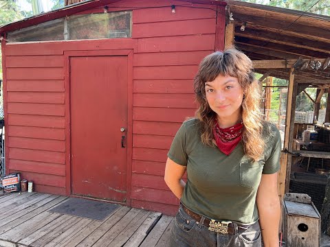 I BOUGHT A CABIN IN THE WOODS - Off The Grid