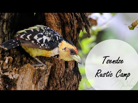Tzendze Rustic Camp | Shipandani Hide | Sable Hide. (Kruger National Park)