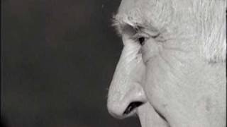 Al pie del árbol blanco / trailer del documental