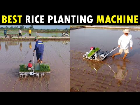 image-What is a rice transplanter used for? 