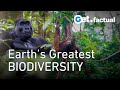 Life Along the Line: Equator's Deep Jungles | Full Documentary