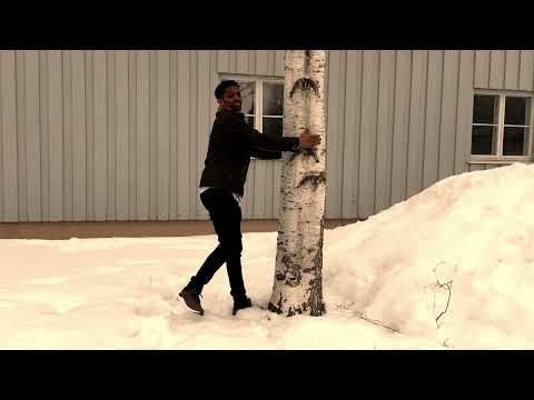 Video Movilidad Tynset 9