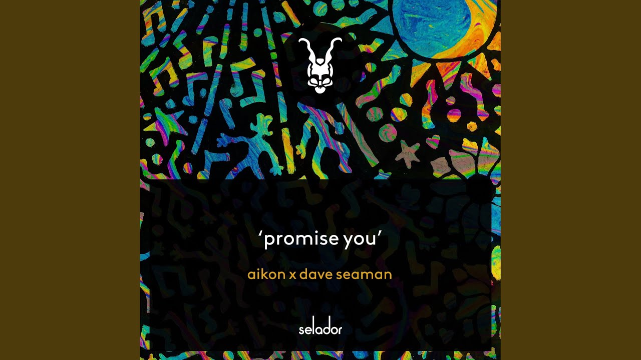 Promise You