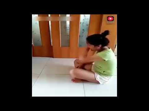 betapa sayang nya anjing sama majikan nya