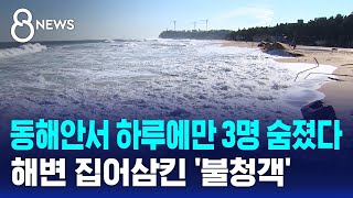 동해안서 하루에만 3명 숨졌다..해변 집어삼킨 '불청객' / SBS 8뉴스
