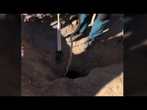 Youtube video image