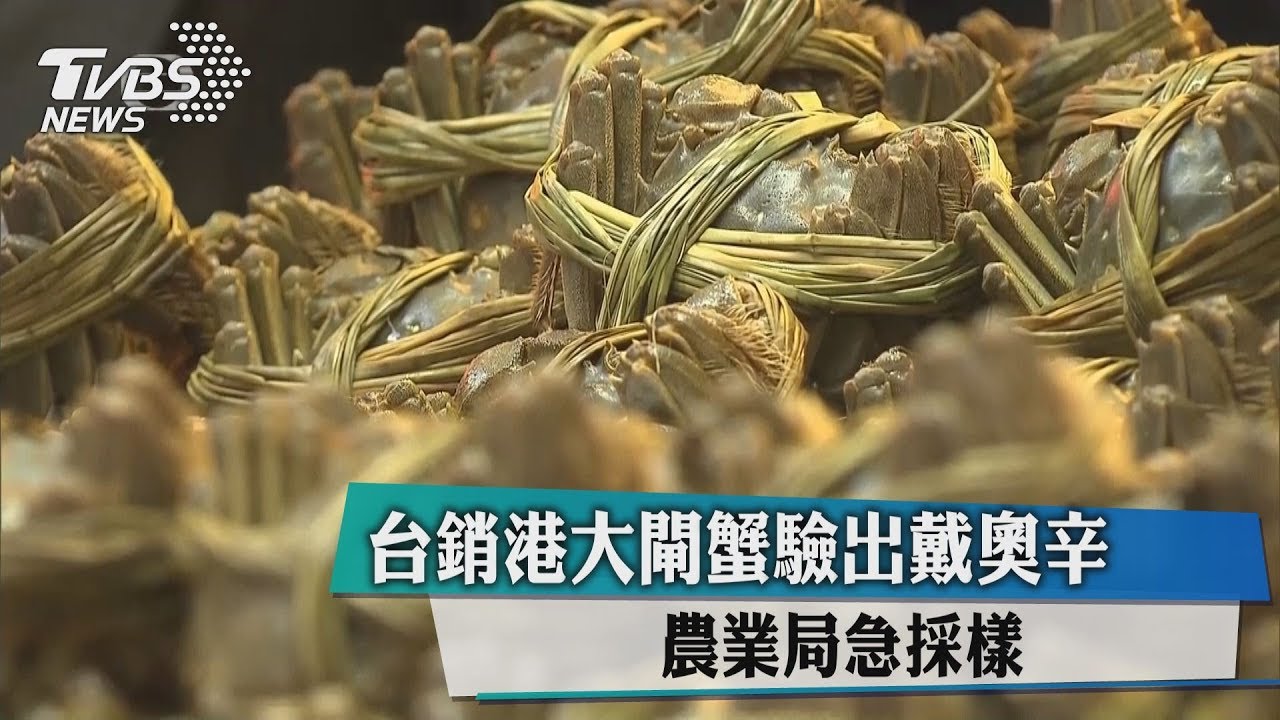 輸港大閘蟹含戴奧辛 台業者坦承是陸蟹