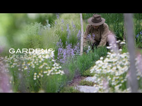 piscine-jardin-rectangulaire-natation-enterrée-arbres piscine jardin