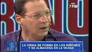 Download lagu Dr. TV Peru - The Kidneys mp3 Download lagu Dr. TV Peru - The Kidneys mp3