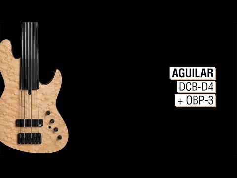 Aguilar DCB-D4 + OBP-3 - Maruszczyk Elwood Absolution 6a-24 Fretless