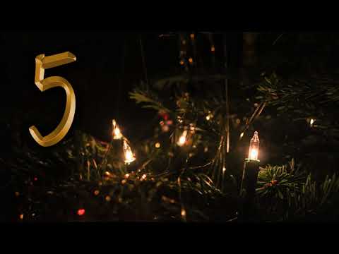 Türchen 5b: Schulradio 1 | TSTS'18