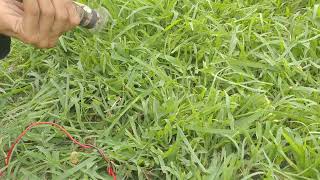 mini Motor + 1Rs Blade cutting green grass 4