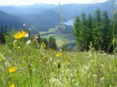 La lentiggine labitante del nord per comprare la primavera Bionde con lentiggini e occhi marroni
