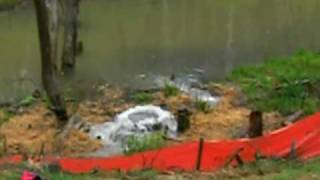 Old Faithful rock a bye baby 4/20/09   http://www.sewerpalOOZa.com