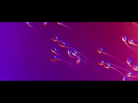 Toziako - Demain c'est rien (Teaser)