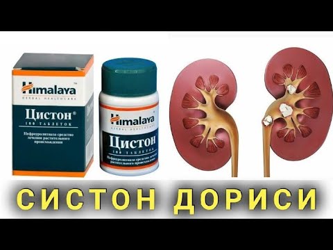 SISTON HAQIDA | СИСТОН ҲАҚИДА