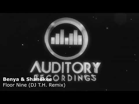 Benya & Shanokee - Floor Nine (DJ T. H.  Remix)