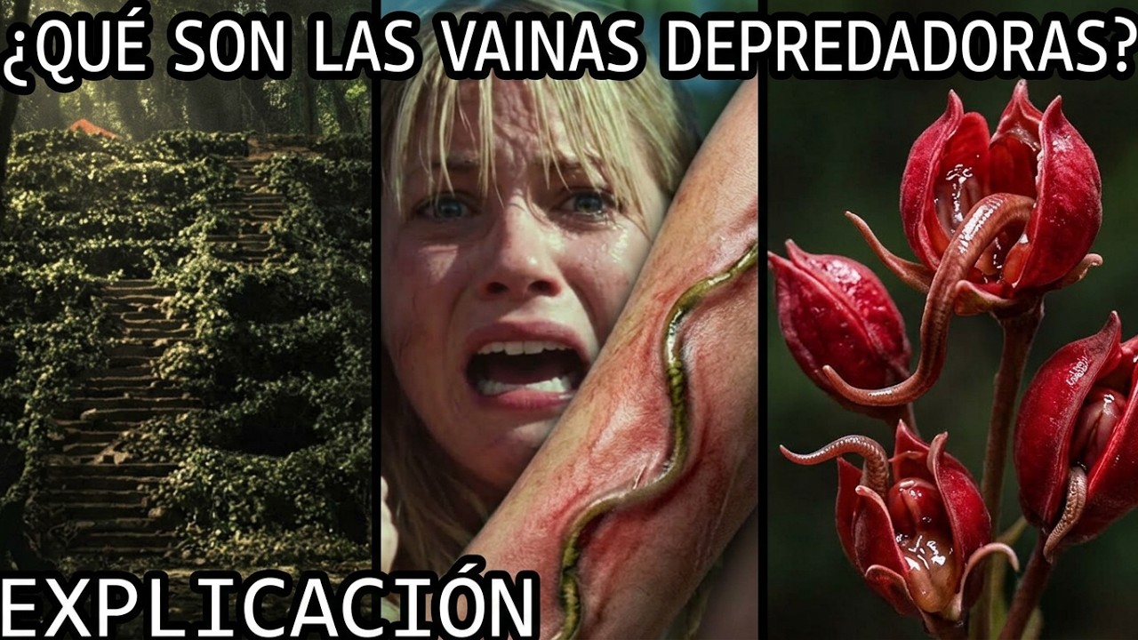 ¿Qué son las Vainas Parasitarias? | Las Plantas Carnivoras o Vainas Depredadoras de Las Ruinas