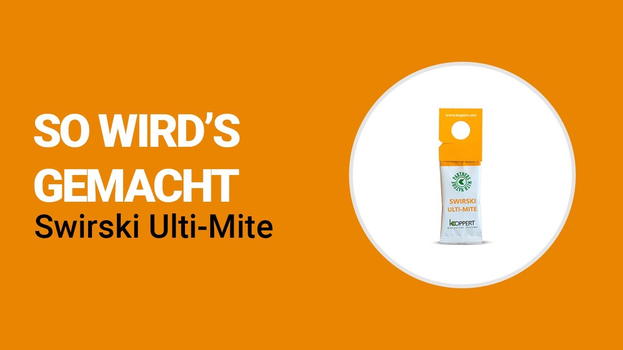 Video preview poster