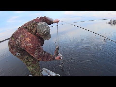 Вылов рыбы сетями. Рыбалка на Крайнем Севере. Fishing with nets.