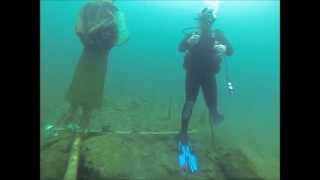 preview picture of video 'GoPro scuba diving at lake rawlings, VA'