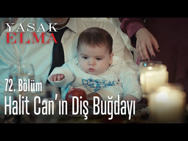 Pronunție video a elma în Turcă