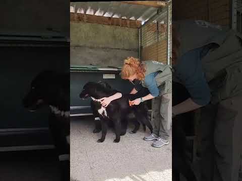 Video di BIRBO