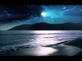 Whispers in the Moonlight