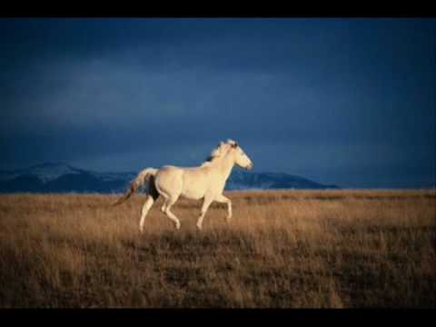 Barnabas von Geczy - Blauer Himmel, 1938