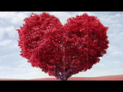 Oscar Salguero Feat. Marcie - Love Everything (Theemotion Remix) (Offcial Audio)
