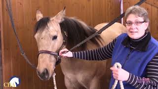 Cross Tying the Horse with Michal Kays