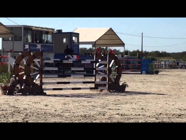 Full brother of the mother is the Grand Prix 1.60m stallion Zelote VDL with rider Tina Yates.