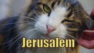 Visiting Jerusalem including a tour around Mahane Yehuda Market and Old Jerusalem, Israel