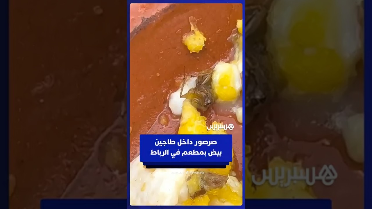 زبون يوثق عثوره على صرصور داخل طاجين بيض في وجبة فطور بأحد مطاعم الرباط thumbnail