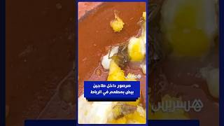 زبون يوثق عثوره على صرصور داخل طاجين بيض في وجبة فطور بأحد مطاعم الرباط thumbnail