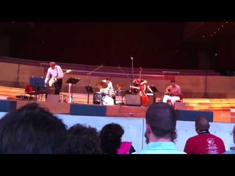 Jeff Parker / Nels Cline / Frank Rosaly / Nate McBride at Millennium Park, Chicago, 8.8.2013
